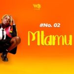 Music Audio : D Voice – Mtamu