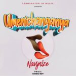 Music Audio : Navynize – Umenichanganyaa