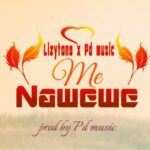 Music Audio : Lizytone X Pd Music – Me Nawewe