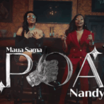 Music Video : Maua Sama Ft. Nandy – Poa
