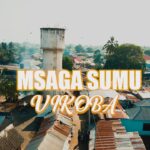 Music Video : Msaga Sumu – Vikoba