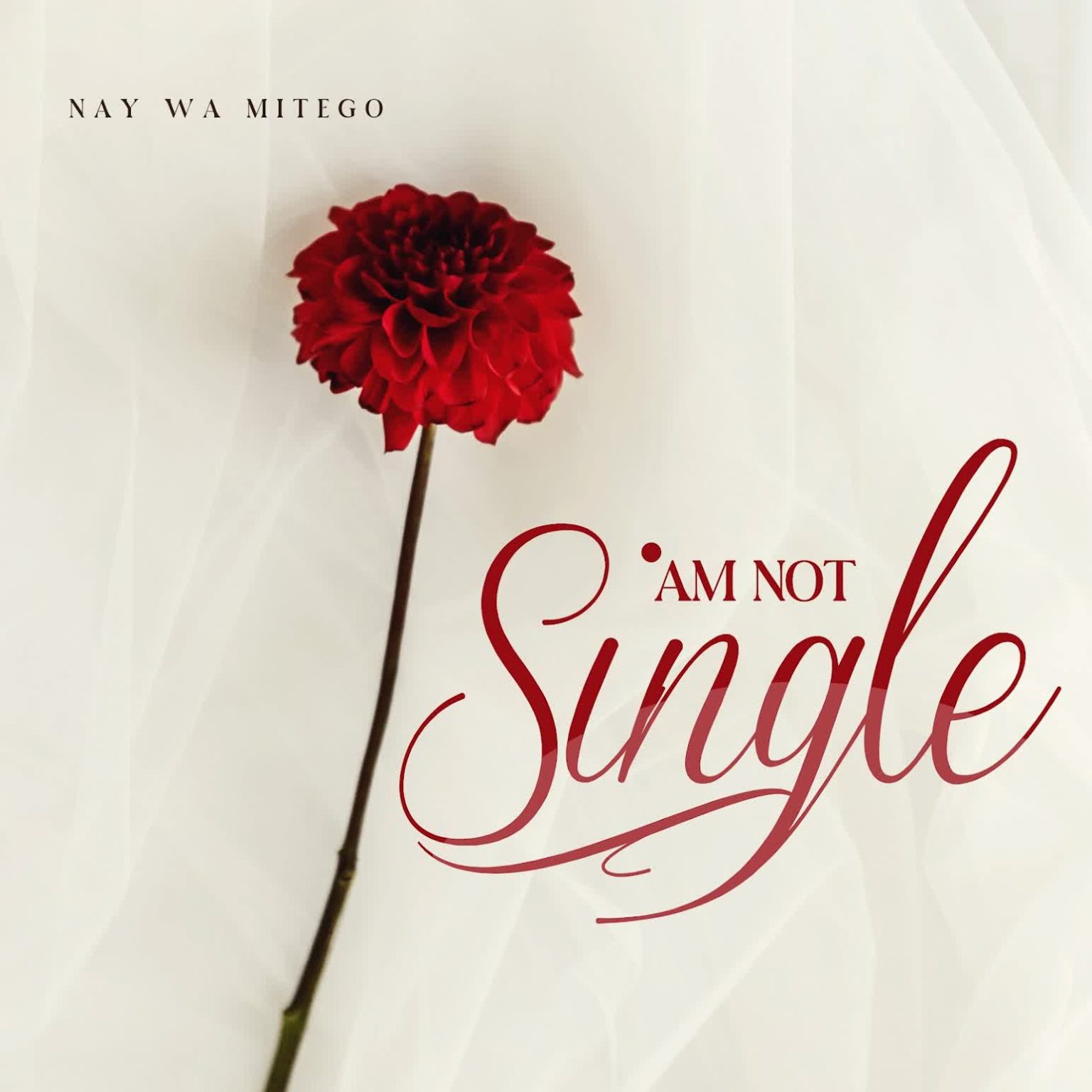 Music Audio : Nay Wa Mitego – Am Not Single