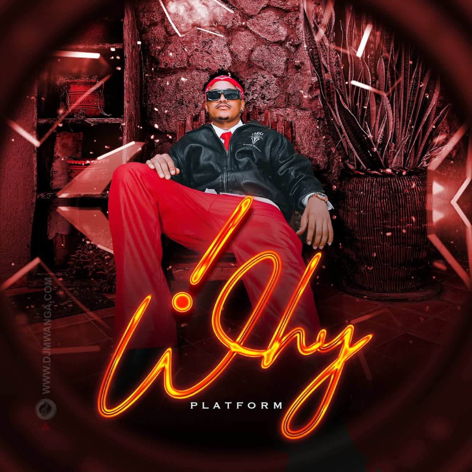 Music Audio : Platform – Why