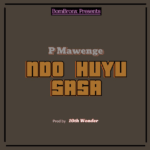 Music Audio : P Mawenge – Ndo Huyu Sasa | Download