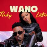 Music Audio : Latinum Ft Pinky – Wano | Download