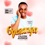 Music Audio : Cilicon Avokoz – Ogezanga | Download