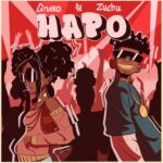 Music Audio : G Nako Ft Zuchu – Hapo | Download