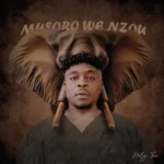 Music Audio : Holy Ten – Dzimwe Hembe | Download