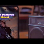 Music Audio : Nala Mzalendo ft Lizytone – Malezi | Download