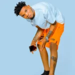 Music Audio : Makesi Mc Ft Don Breezy – Sele | Download