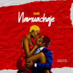 Music Audio : Udi – Namuachaje | Download