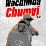 Music Audio : NIKKI MBISHI & MIRACLE NOMA – TOKA MAGHETTONI (WACHIMBA CHUMVI) | Download