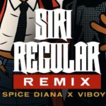 Music Audio : Viboyo Oweyo Ft Spice Diana – Siri Regular | Download